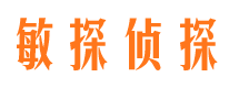 江川市侦探公司